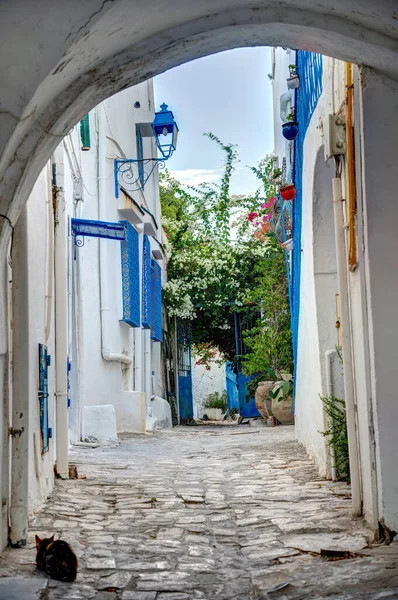 Sidi Bou Said Tunisia September 2022 Historical Center Sunny Weather — Stock Photo, Image