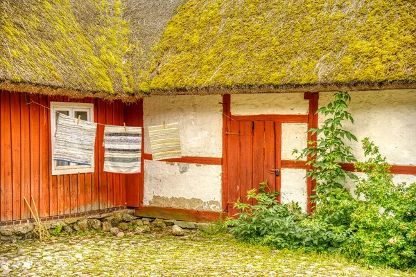 Estocolmo Suecia Agosto 2022 Skansen Djurgarden Verano Hdr Image —  Fotos de Stock