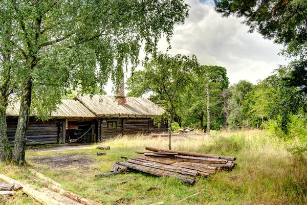 Стокгольм Швеція Серпень 2022 Skansen Djurgarden Summer Hdr Image — стокове фото