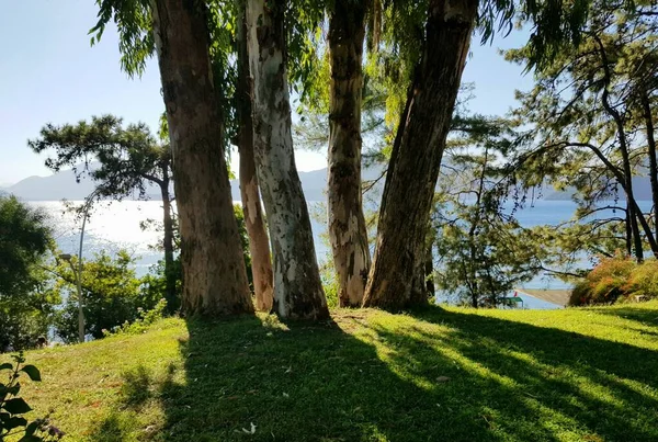 stock image beautiful view of the park