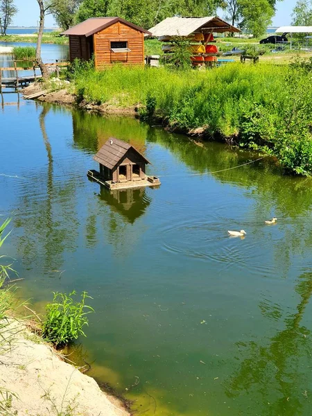 Beautiful Lake Green Leaves Water Pond — Foto de Stock