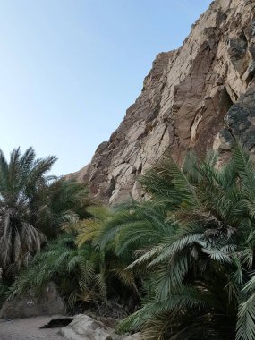 view of the nature and desert in the background