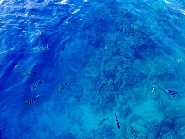 Подводный Мир Океан Волны Вода Голубое Небо Белыми Облаками Ясной — стоковое фото