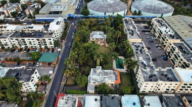 Flor en pleno medio dia