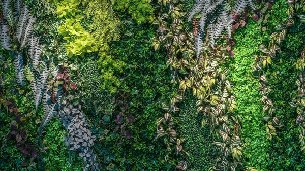 Nahaufnahme Von Grünen Pflanzen Hintergrund Nahtloses Muster — Stockfoto