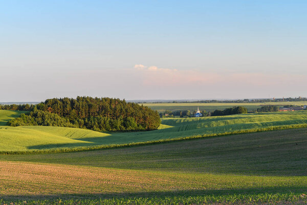  Landscape of region country with green hills covered with young wheat, background of blue sky with clouds. Selective focus.