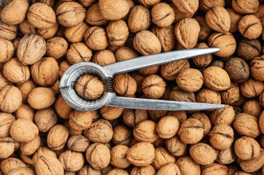 Kahverengi ceviz arkaplanda fındıkkıran.