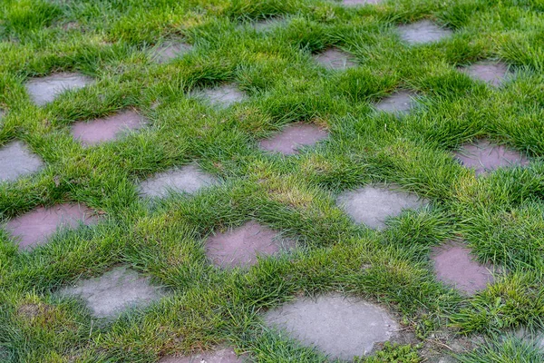 Design Calçada Criativa Feita Com Pavers Bloco Grama Foco Seletivo — Fotografia de Stock