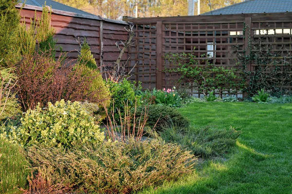Detail Cozy House Garden Flowerbed Sunset Gardening Concept Selective Focus — Foto Stock