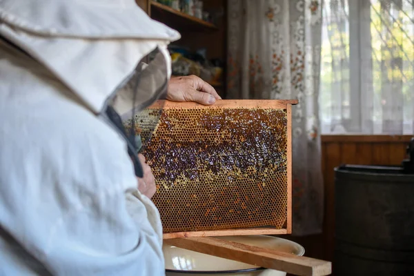 Close up process of honey production, beekeeper collecting honey. Using beekeeping tools for opening wax cells full of ready product. Selective focus.
