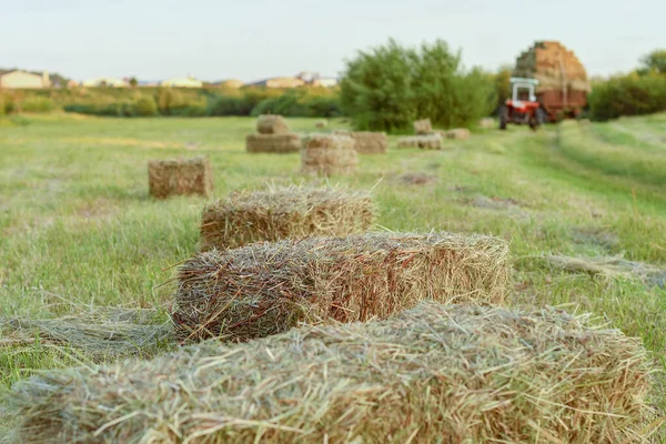 Selective Focus Tractor Trailer Heavily Loaded Hay Bales Countryside Warm — Stock Photo, Image