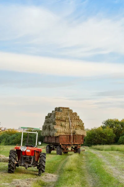 Tractor Trailer Heavily Loaded Hay Bales Countryside — Stock Photo, Image