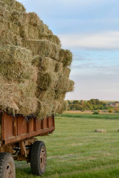 Detail Tractor Trailer Heavily Loaded Hay Bales Countryside — Stock Photo, Image