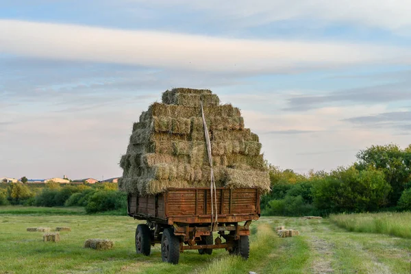 Tractor Trailer Heavily Loaded Hay Bales Countryside Milk Farm Background — Stock Photo, Image
