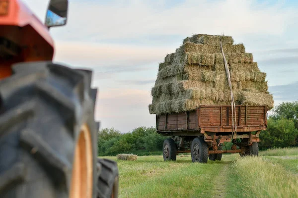 Close Tractor Trailer Heavily Loaded Hay Bales Countryside Selective Focus — Stock Photo, Image