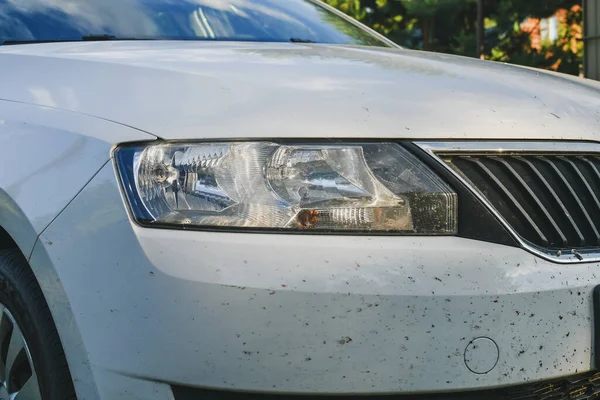 Signs of dead midges insects on the bumper of the car