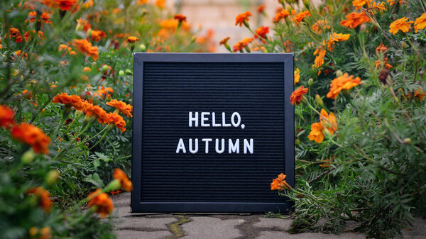 "Ад, осень ", написанная на черной лепестке внутри проложенной дорожки с растущими вдоль цветами марихуаны. Селективный фокус.