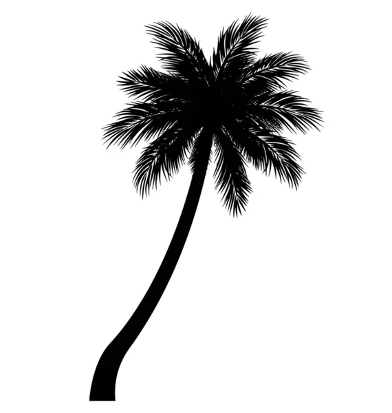 Gedetailleerd Gebogen Palm Tree Silhouet — Stockvector