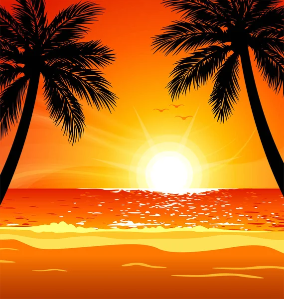 ヤシの木と暖かい熱帯のビーチの夕日 — ストックベクタ
