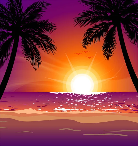 Теплый Тропический Закат Пляже Пальмами — стоковый вектор