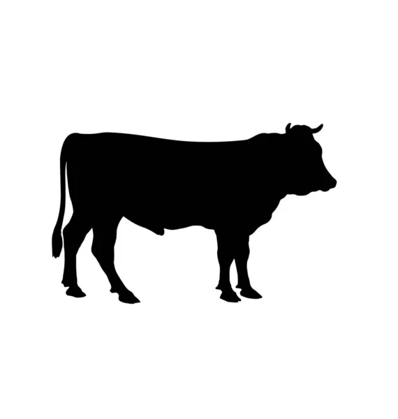 Cow Bull Cattle Silhouette — Stock Vector