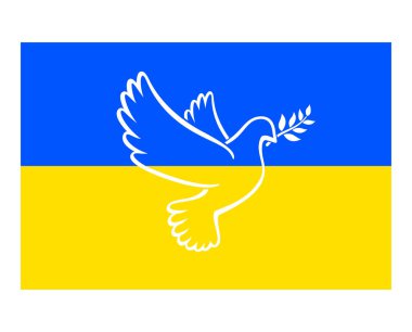 Güzel barış güvercini Ukrayna bayrağında