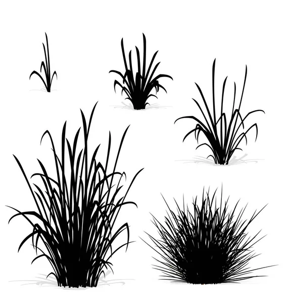 Силуети Різних Елементів Трави — стоковий вектор