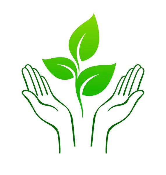 Otwarte Dłonie Pielęgnacja Zielonych Sadzonek Roślin — Wektor stockowy