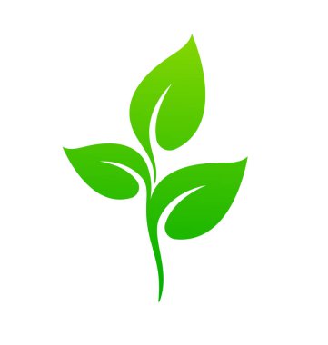 güzel yemyeşil bitki filizleri 