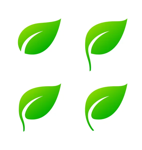 Stylizowany Zielony Liść Ikona Zestaw Symboli — Wektor stockowy