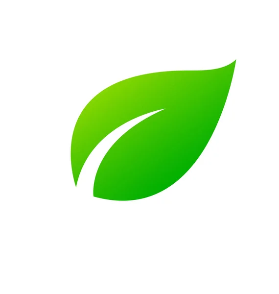 Pojedynczy Stylizowany Bujny Zielony Liść Ikona — Wektor stockowy