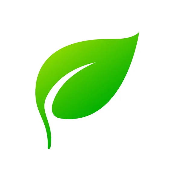 Pojedynczy Stylizowany Zielony Liść Ikoną Łodygi — Wektor stockowy