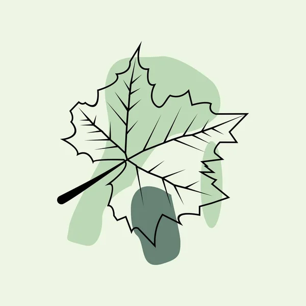 Hand Dras Vektor Illustration Bakgrund Med Fall Blad Skogen Designelement — Stock vektor