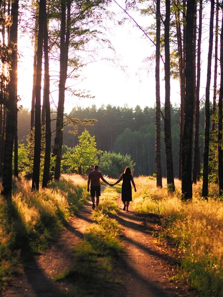 Couple walks in autumn forest on sunny day in the fall