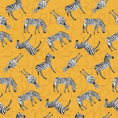 Semaless pattern with zebra. Yellow background.