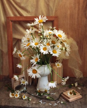                       Beyaz vazoda papatya çiçeği var. 