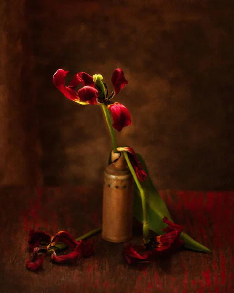 Withered Red Tulips Crumbling Petals Brown Background Still Life — 스톡 사진