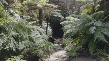 NSW 'deki Lithgow yakınlarında parlayan solucan tüneli girişi.