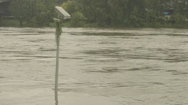 Rivière nepean en crue avec de l'herbe sur le lampadaire montrant la hauteur d'inondation — Photo