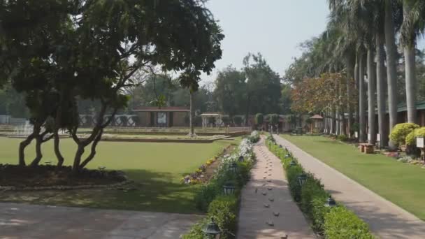 DELHI, INDE - 15 MARS 2019 : zoomez sur les étapes chez Gandhis à Delhi- 4K 60p — Video