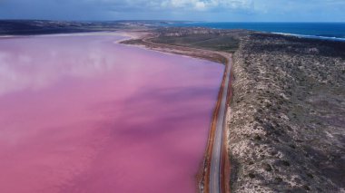 Güneyde, kulübenin pembe sularının havadan görünüşü. Batı Avustralya 'nın Kimberley bölgesindeki Marlgu lagünlerinin Marlgu Billabong' unda yeşil bir pigme kaz.