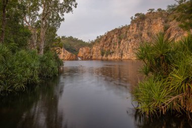 Letonya olarak da bilinir ve Nitmiluk Ulusal Parkı 'ndaki yemyeşil bitki örtüsü