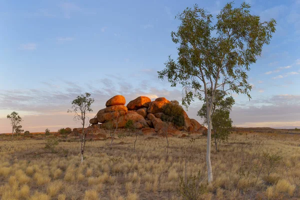 sunset shot of the devils marbles boulders and a gum tree