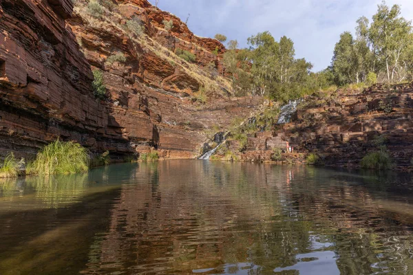 A visitor swims in the natural pool at fortescue falls in karijini national park in western australia — Stock Photo, Image