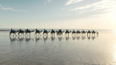 Turistler Broome 'daki kablo plajı boyunca gün batımına doğru deve sürüşüne çıktılar.