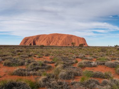 YULARA, AUSTRALIA - 7 Haziran 2021: Kuzey bölgesinin uluru-kata tjuta milli parkında uluru 'nun geniş açılı çekim günü