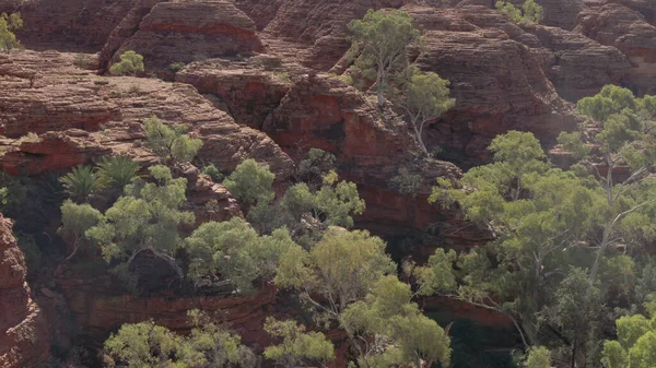 国王峡谷的岩石和树木 — 图库照片