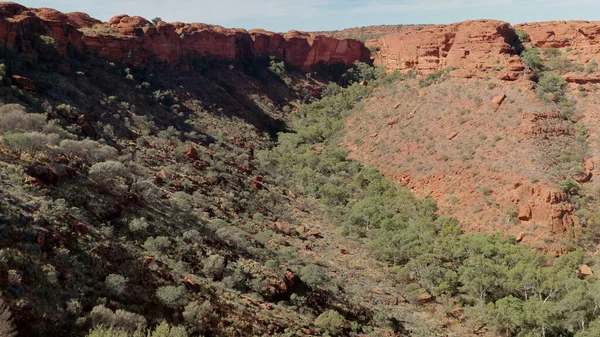 A winter afternoon view of kings canyon from the rim walk — ストック写真