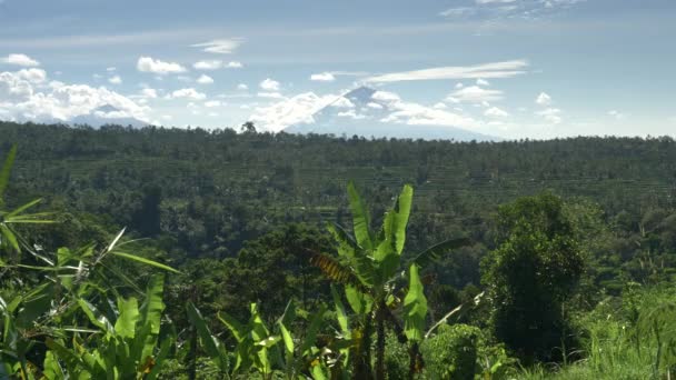 インドネシアのバリでMtアグン火山と段々畑の丘の朝の撮影 — ストック動画