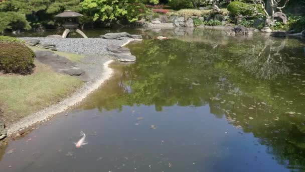 Długie Ujęcie Kamiennej Latarni Koi Pływające Stawie Wschodnim Ogrodzie Pałacu — Wideo stockowe